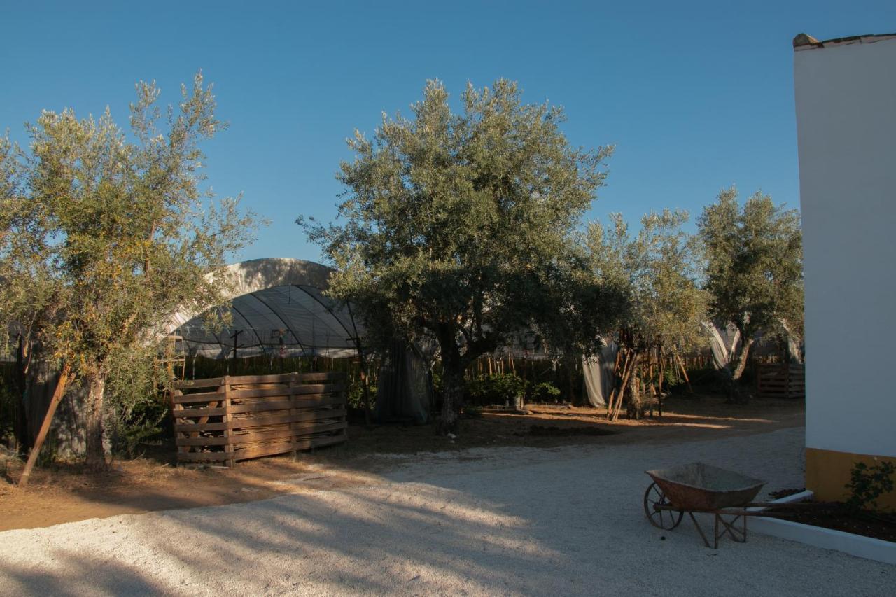 Quinta De Santana Da Varzea Bauernhof *
