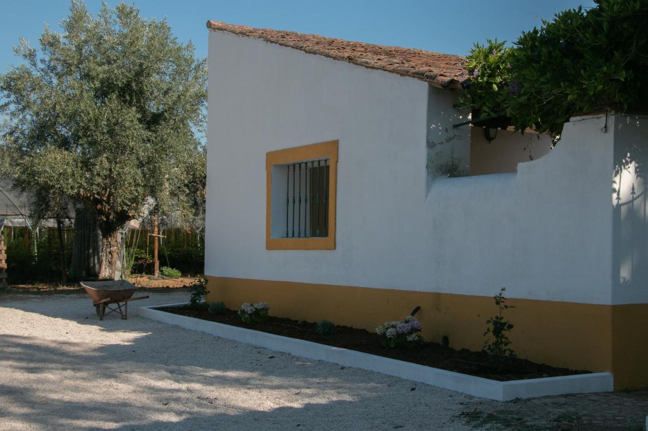 Quinta De Santana Da Varzea * Abrantes