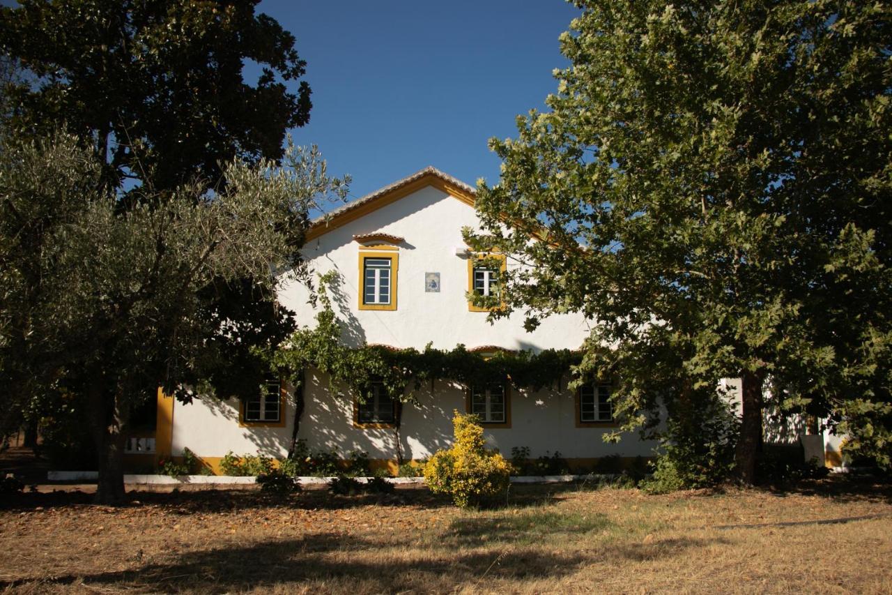 Alojamento de Turismo Rural Quinta De Santana Da Várzea *